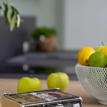 Center Nina Appartement *